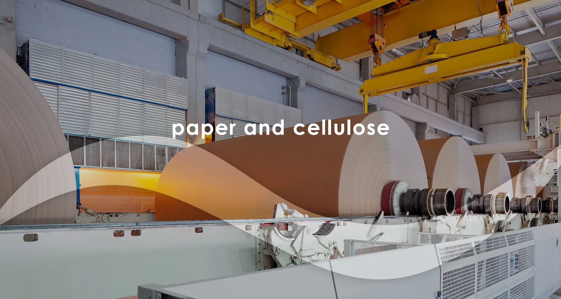 Paper And Cellulose