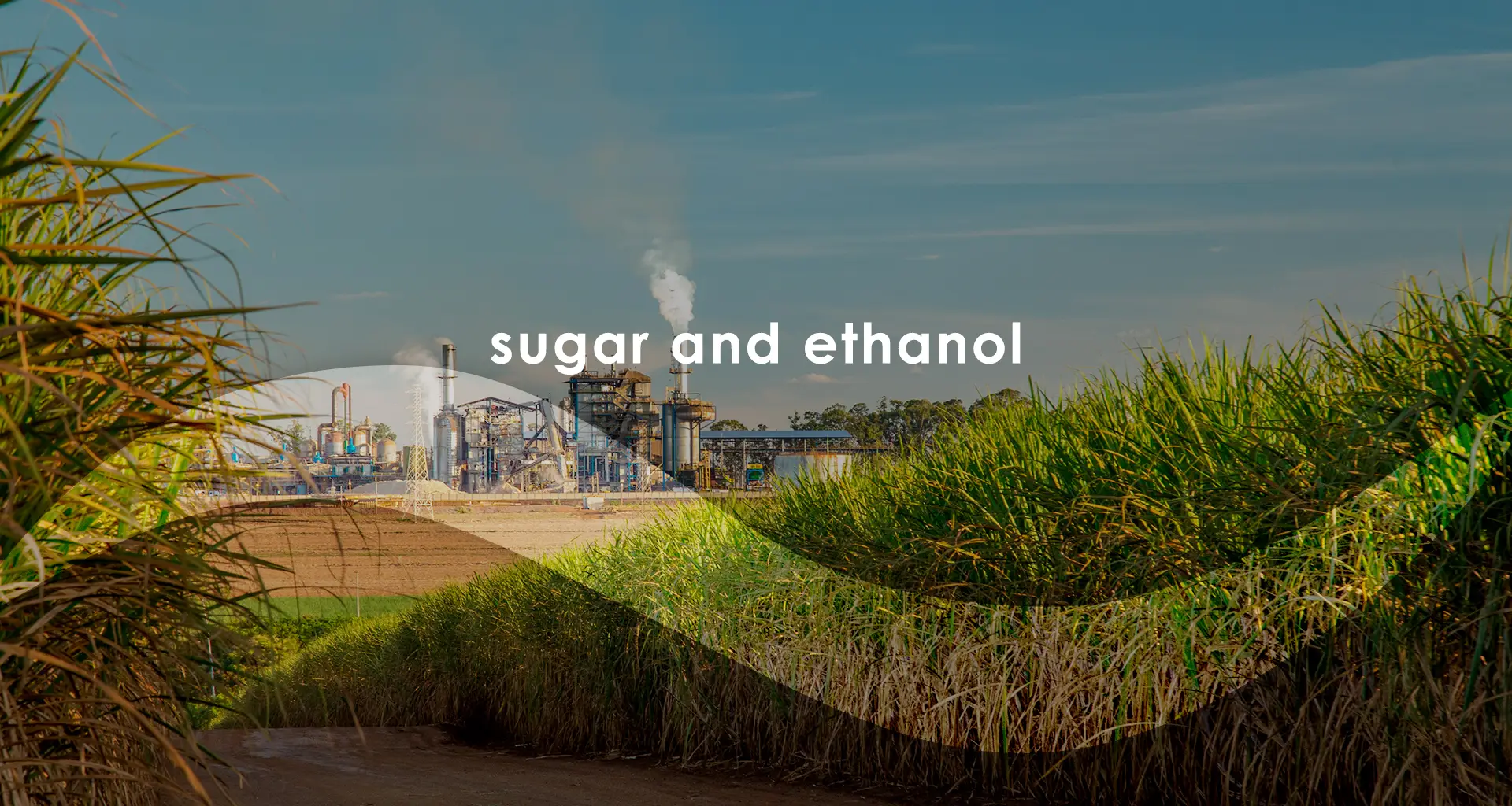 sugar and ethanol